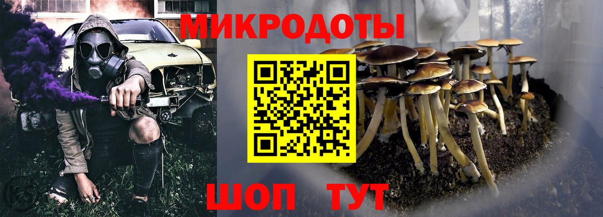 Псилоцибиновые грибы мухоморы  Вход с VPN  Камышин 